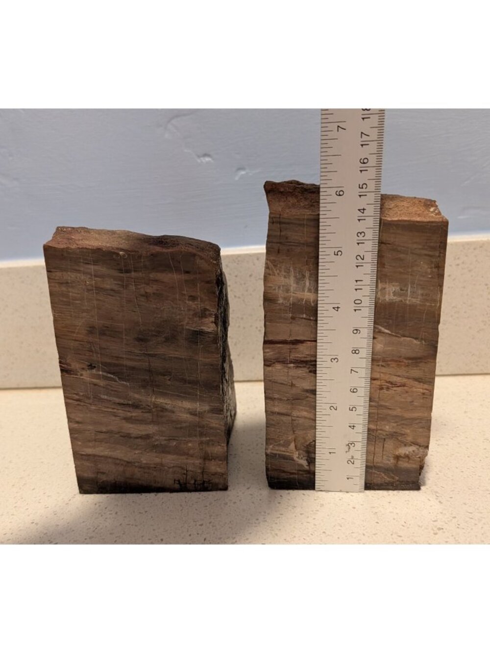 Petrified Wood Bookends Fossilized Tree Rings Natural Mineral Patterns 6" Rustic - Picture 15 of 16